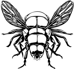 Hand drawn House Fly illustration | Digital illustration of House fly