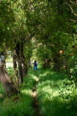 walking in the woods