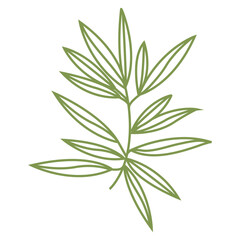 Olive branch. Simple icon in doodle style for your design. Vector illustration