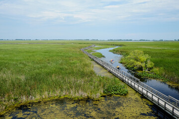 Aerial view of people canoeing along the wooden boardwalk at Point Pelee National Park marsh,...