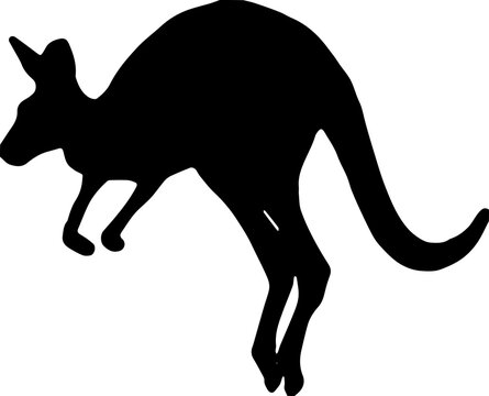 Kangaroo Vector Silhouette