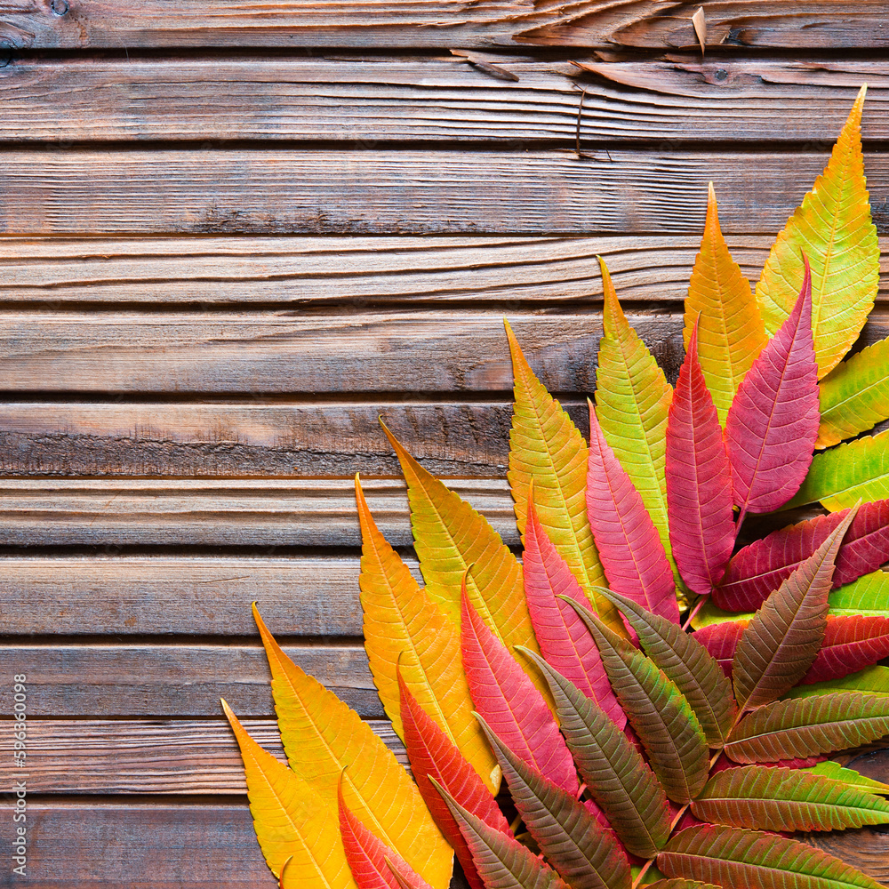 Sticker Universal neutral Autumn background. Branch with red leaves on a wooden brown background	