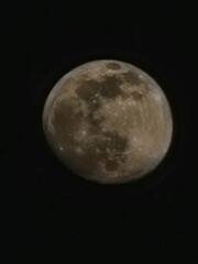 Fototapeta premium Moon