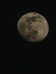 Fototapeta premium Moon
