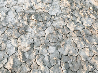 Dry cracked earth. Drought. The dried-up bottom of the lake. Abstract beige background. Copy space