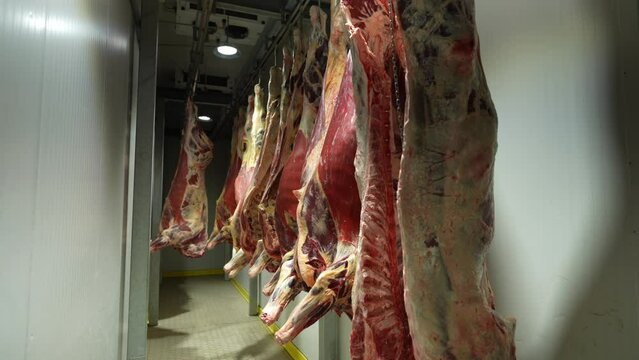 Dead animal carcasses are hung on hooks