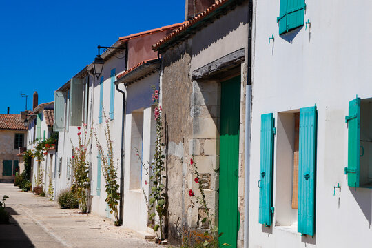 Charente-Maritime - Ile de R&eacute; - Saint-Martin de R&eacute; - Rue d&eacute;cor&eacute;e de roses tr&eacute;mi&egrave;res