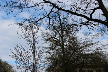 Obraz premium ein schönes Park 