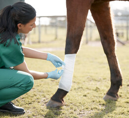 Making sure this is tied right. Shot of an unrecognisable veterinarian wrapping a bandage around a...