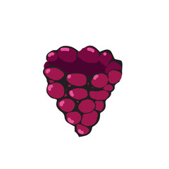 Vector illustration. Raspberry in hand drawn style in black outline. Ripe berry, raspberry, vector