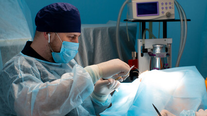 Ophthalmologist veterinarian stitches the eyelid of an animal's eye in the operating room. An...