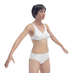 Obraz premium 3d medical illustration of the female body