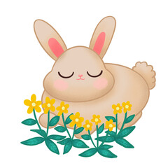 Bunny In Flower Field