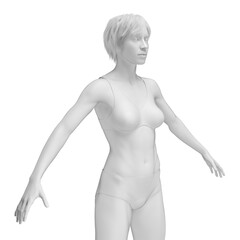 Naklejka premium 3d medical illustration of the female body