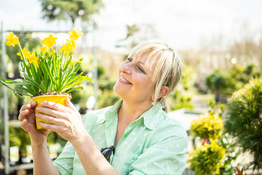 Die Mitarbeiterin einer G&auml;rtnerei mit dem Topf mit Narzissen