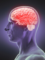 Obraz premium 3d rendered medical illustration of a man's brain