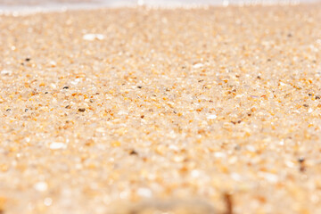 Small grains of sand spread widely on the eastern beaches of the Korean sea.
This is the sandy beach of the East Sea.