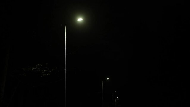 nighttime illumination, road lamps, street lanterns. Line street lamps shining at nighttime in park street.