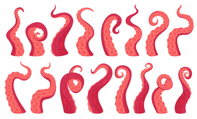 Octopus tentacles with suction cups in various twisted forms. Limbs of marine animals octopus squid. Vector illustration