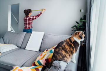 Obraz premium Focus on hone pet cat with blirred young woman doing measuring with a measure tape on the wall. Housekeeping work. Doing repair herself. DIY, gender equality in work concept.