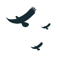 eagle sillhouette element