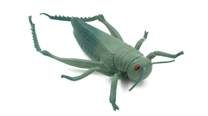 Plastic grasshopper toy isolated on white background