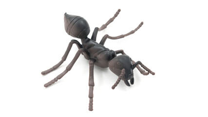 Plastic ant toy isolated on white background.