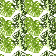 Monstera leaves seamless pattern. Exotic jungle plants endless wallpaper. Leaf background. Hawaiian rainforest floral backdrop.