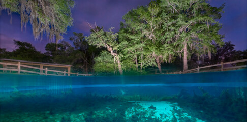 Fototapeta na wymiar Hart Springs Illuminated at Night, Gilchrist County, Florida