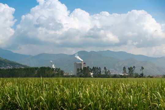 Sugar mill with sugar cane plantations around in the Cauca Valley. Cali