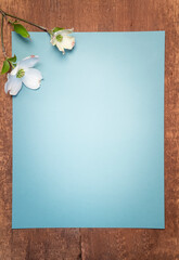 Barn wood with blue paper and dogwood flower
