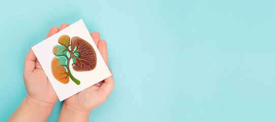 Liver organ, world hepatitis day, diagnosis of cancer, cirrhosis, health issue, liver made with generative AI