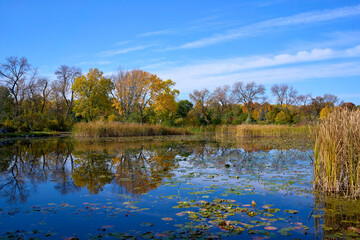 Nature landscapes during autumn in Montréal
