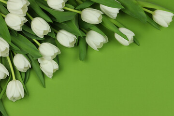 Beautiful bouquet of white tulip flowers with card on green background, space for text