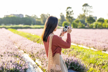 Woman take photo of the flower field