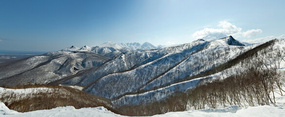 Russia. Far East, Kuril Islands. View of the snow-covered volcanoes of Iturup Island, overgrown with larch and gnarled stone birch.