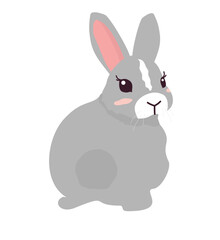 rabbit pose cartoon