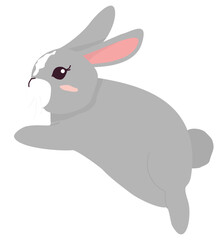 rabbit cartoon