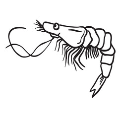 Shrimp outline art ,good for graphic design resources, posters, banners, templates, prints, coloring books and more.