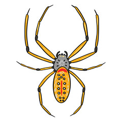 Golden yellow web spider ,good for graphic design resources, posters, banners, templates, prints, coloring books and more.