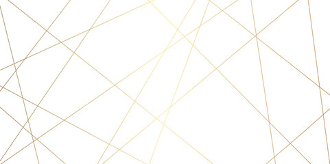 Abstract luxury golden lines background. Luxury premium gold wavy lines background.