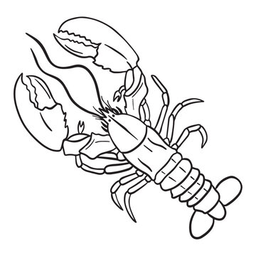 recommend clip art: Lobster outline art ,good for graphic design resources, posters, banners, templates, prints, coloring books and more.