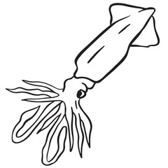 Squid outline art ,good for graphic design resources, posters, banners, templates, prints, coloring books and more.