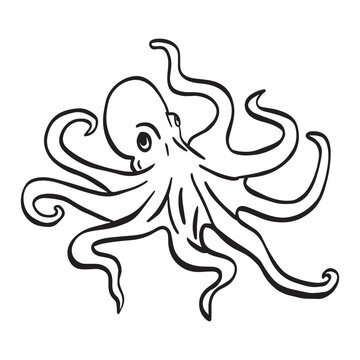 Octopus outline art ,good for graphic design resources, posters, banners, templates, prints, coloring books and more.