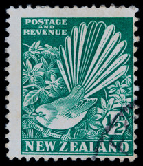 briefmarke stamp vintage retro alt old green grün bird vogel neuseeland new zealand gestempelt frankiert cancel used gebraucht papier paper post letter mail brief reveue