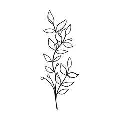 Digital illustration of a cute black outline doodle spring theme frame twig with leaves in scandinavian style. Print for clothes, poster, banner, postcard, web design, coloring.
