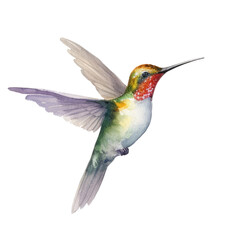 Fototapeta premium bird hummingbird watercolor. generative ai