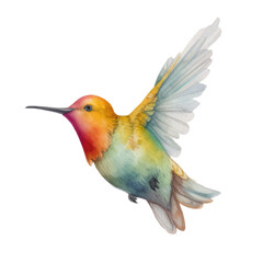 bird hummingbird watercolor. generative ai