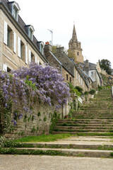 Escaliers de Brélévenez et glycine, Lannion, Côte de granite rose, Côtes d'armor, Bretagne