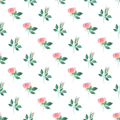 Hand painted pink yellow gradient colored roses with green leaves as summer spring seamless pattern on white background  for print cards, invitations, scrapbooking and wrapper.